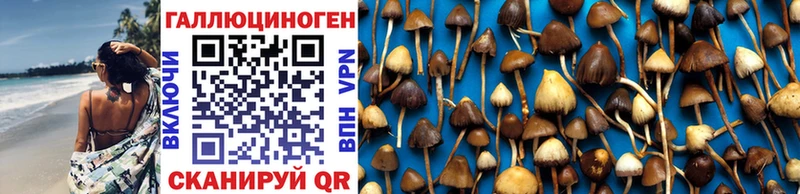 Псилоцибиновые грибы GOLDEN TEACHER  цена наркотик  Лагань 