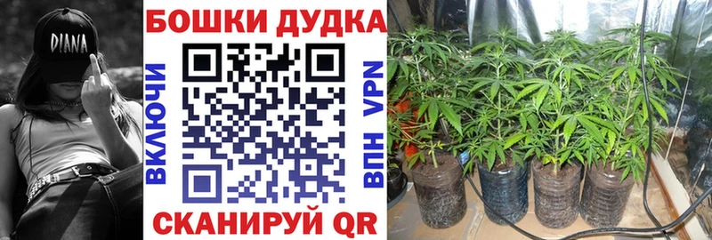 Марихуана сатива  МЕГА ONION  Лагань 